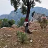 elif aslan42902 - @elifaslan589 - TikTok