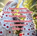 Elif Çetin - Facebook