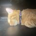 Elijah Arnold - Facebook