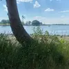 elijaharnold698 - @elijaharnold698 - TikTok