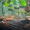Elijah Crowder - @elijah.crowderoff - TikTok