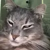Eli Padgett - @elipadgett0 - TikTok