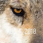 Elijah Padgett - @padgett.elijah - Instagram