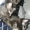 Elijah patrick - @elijah.patrick31 - TikTok