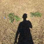 Elijah Perkins - @elijahperkins161 - Instagram