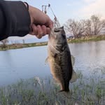 Elijah Perry - @elijah_2535 - Instagram