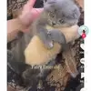 Elijah Phelps - @elijah.phelps - TikTok