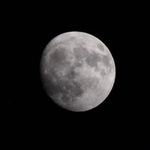 photographer74 - @elijah.phelps3499 - Instagram