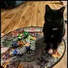 Elijah Phipps38 - @maverickdacat - TikTok