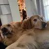 Elijah - @elijah.rea - TikTok