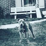 Elijah RLM Rice - @elijah_rice_ - Instagram