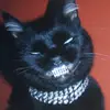 ꧁༺𒅒𝓽𝓱𝓮_𝓰𝓸𝓪𝓽𒅒༻꧂ - @rich_elijah2 - TikTok