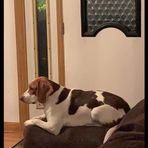 Elijah Riddle - Facebook