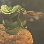 Elijah Raymond Ring - @elijahraymondring - Instagram