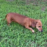 Elijah Ring - @elijah_ring9 - Instagram