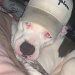 Elijah Ritchie - @elijahritchie36 - Instagram