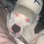 Elijah Ritchie - Facebook