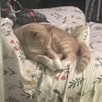 Elijah Robertson - Facebook