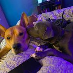 Elijah Rock - @elijahrock33_ - Instagram