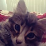 Elijah Rojas - @elijah_rojas1416 - Instagram