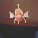 Elijah Roman - @elijah_1664 - Instagram