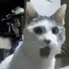 elijahrubio685 - @elijahrubio685 - TikTok