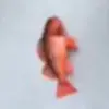 Elijah - @elijah.ruffo - TikTok