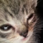 Elijah Serrano - @pinky_twinie - Instagram