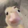 popcorn - @elijah.sharp1234 - TikTok