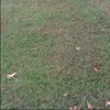 Elijah.Shipp - @im.batman.cause - TikTok