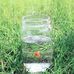 Elijah Sisk - Facebook
