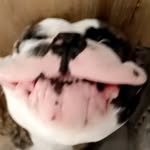 Elijah slate - @elijah31638 - Instagram