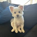 Elijah Snow - @imelijahsnow - Instagram