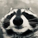 Elijah Snyder - @fatdinoboi123 - Instagram
