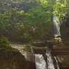 elijah.snyder15 - @elijah.snyder15 - TikTok