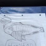 Elijah Solis - @random2_person - Instagram