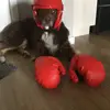 Elijah Stark - @elijah.stark - TikTok