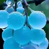 elijahstark951753 - @elijahstark951753 - TikTok