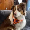 Elijah Stevenson - @elijah.sky - TikTok