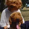 eli - @elijah.storm - TikTok