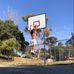 Elijah Strauss-Tamati - Facebook