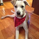 Elijah Sullivan - @elijahsullivan96 - Instagram