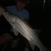 Elijah Sullivan - Facebook