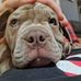 Elijah Sullivan - Facebook