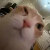 elijah_tanon - @elijah_tanon - TikTok
