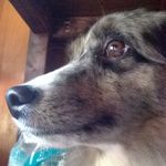 Elijah Tanner - @zagtag123 - Instagram