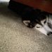 Elijah Townsend - Facebook