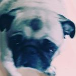 Elijah Townsend - @arkhamdeath2 - Instagram