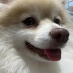Elijah - @elijah_tran4 - Instagram
