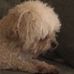 Elijah Tran - Facebook